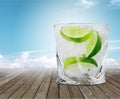Gin Royalty Free Stock Photo