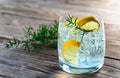 Gin with lemon and juniper branch