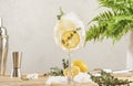 Gin tonic alcoholic cocktail drink with dry gin, bitter tonic, lemon juice, thyme and ice, bar tools. Wooden table background with