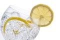 Gin and tonic Royalty Free Stock Photo