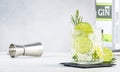 Gin tonic classic alcoholic cocktail drink with dry gin, bitter tonic, lime and ice, bar tools. Gray table background with copy