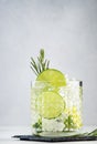 Gin tonic classic alcoholic cocktail drink with dry gin, bitter tonic, lime and ice, bar tools. Gray table background with copy