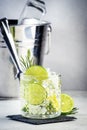 Gin tonic classic alcoholic cocktail drink with dry gin, bitter tonic, lime and ice, bar tools. Gray table background with copy