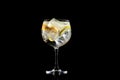 Gin tonic classic