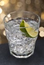 Gin Tonic Cocktail Royalty Free Stock Photo