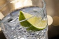 Gin Tonic Cocktail Royalty Free Stock Photo