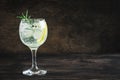 Gin and tonic cocktail Royalty Free Stock Photo