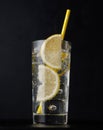 Gin tonic cocktail Royalty Free Stock Photo