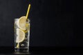 Gin tonic cocktail Royalty Free Stock Photo