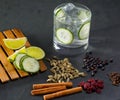 Gin tonic cocktail with cucumber cloves cardamom cinnamon and juniper