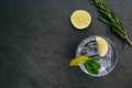 Gin tonic cocktail drink with ice glass green lime dark background Royalty Free Stock Photo