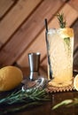 Gin tonic cocktail drink in pub, restaurant or nightclub. Refreshment cocktail drink served cold Royalty Free Stock Photo