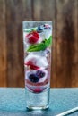 Gin and tonic cocktail with fruit ice cubes Royalty Free Stock Photo