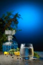 Gin and tonic cocktail with juniper branches and lemon slices Royalty Free Stock Photo