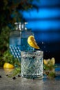 Gin and tonic cocktail with juniper branches and lemon slices Royalty Free Stock Photo