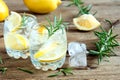 Gin Tonic Cocktail with lemon, rosemary Royalty Free Stock Photo