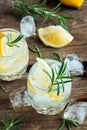 Gin Tonic Cocktail with lemon, rosemary Royalty Free Stock Photo