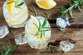 Gin Tonic Cocktail with lemon, rosemary Royalty Free Stock Photo