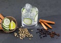 Gin tonic cocktail with lima cucumber vanilla cloves cardamom