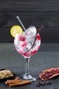 Gin tonic cocktail with vanilla raspberry lima slice and ice