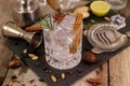 Gin and tonic cocktails with rosemary star anise and cinnamon Royalty Free Stock Photo