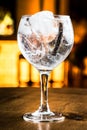 Gin Tonic Royalty Free Stock Photo