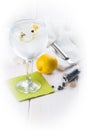 Gin and tonic on a highball glass Royalty Free Stock Photo
