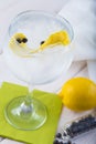 Gin and tonic on a highball glass Royalty Free Stock Photo