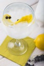 Gin and tonic on a highball glass Royalty Free Stock Photo