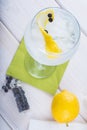 Gin and tonic on a highball glass Royalty Free Stock Photo