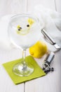 Gin and tonic on a highball glass Royalty Free Stock Photo