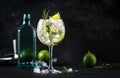 Gin tonic lime alcoholic cocktail drink with dry gin, rosemary, tonic and ice in big wine glass. Black bar counter background,