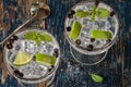 Gin and Tonic with Juniper Berries Royalty Free Stock Photo