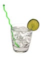 Gin and Tonic, Lime, Swizzle Stick Royalty Free Stock Photo