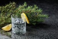 Gin , tonic with slices of lemon and a sprig of juniper . Royalty Free Stock Photo
