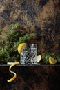 Gin , tonic with slices of lemon and a sprig of juniper . Royalty Free Stock Photo