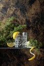 Gin , tonic with slices of lemon and a sprig of juniper . Royalty Free Stock Photo
