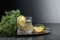 Gin , tonic with slices of lemon and a sprig of juniper Royalty Free Stock Photo