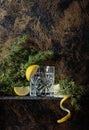 Gin , tonic with slices of lemon and a sprig of juniper