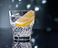 Gin Tonic or Tom Collins Royalty Free Stock Photo