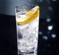 Gin Tonic or Tom Collins Royalty Free Stock Photo