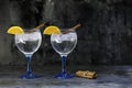Gin tonics on blue glass with cinnamon Royalty Free Stock Photo