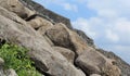 Gingee Fort wall