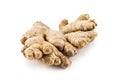 Ginger Royalty Free Stock Photo