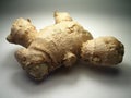 Ginger Royalty Free Stock Photo