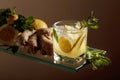 Ginger ale beer cocktail with lemon and mint in a frozen glass Royalty Free Stock Photo