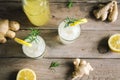 Ginger Ale or Kombucha Royalty Free Stock Photo