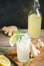 Ginger Ale or Kombucha Royalty Free Stock Photo