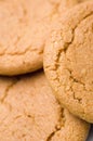 Ginger biscuits Royalty Free Stock Photo