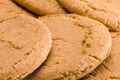 Ginger biscuits Royalty Free Stock Photo